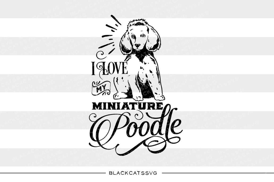 I love my miniature poodle SVG By BlackCatsSVG | TheHungryJPEG.com