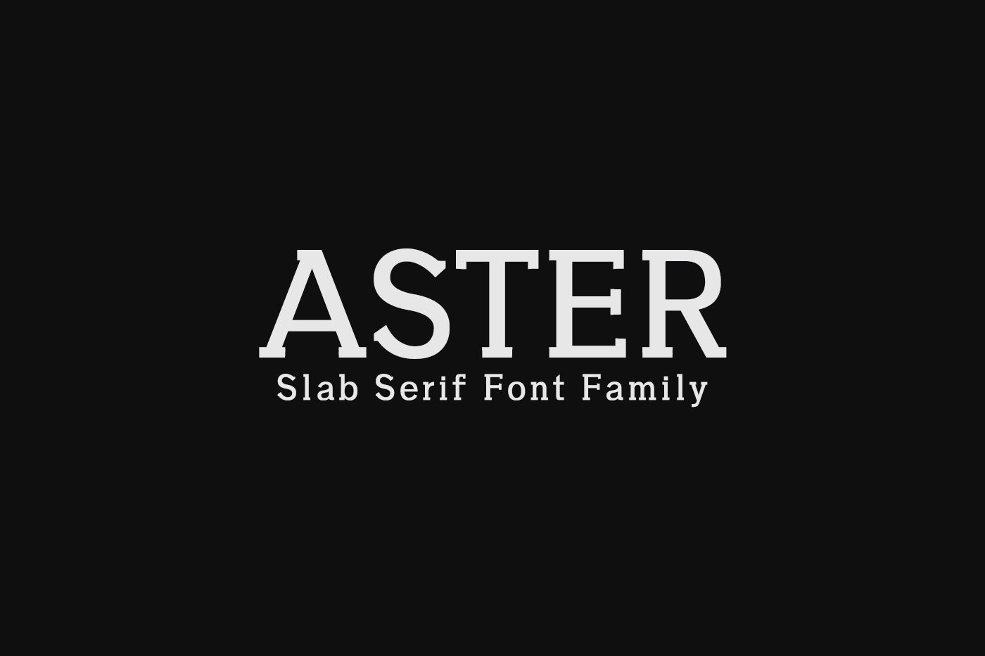 Aster Slab Serif Font Family By Creativewhoa Thehungryjpeg Com