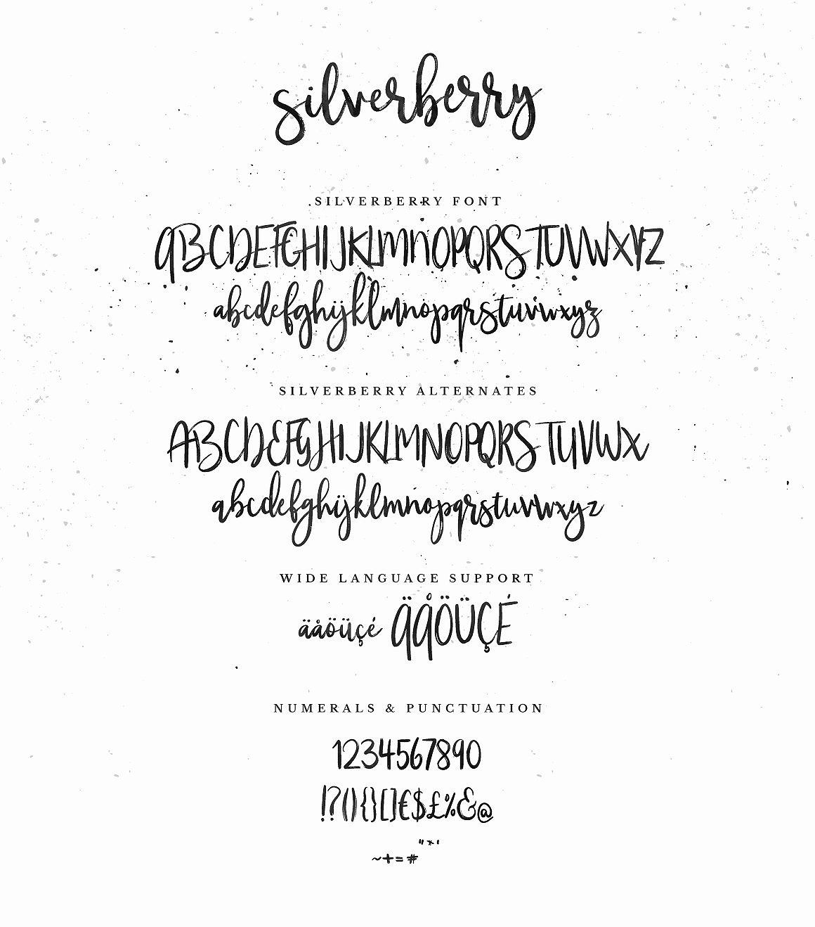 Silverberry Dry Ink Font By Worn Out Media Thehungryjpeg Com