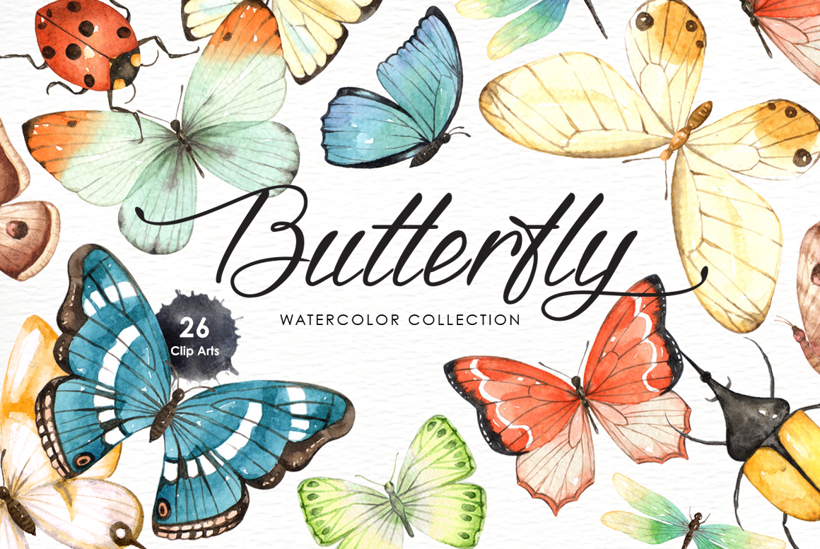 Butterfly Watercolor Collection By everysunsun | TheHungryJPEG.com