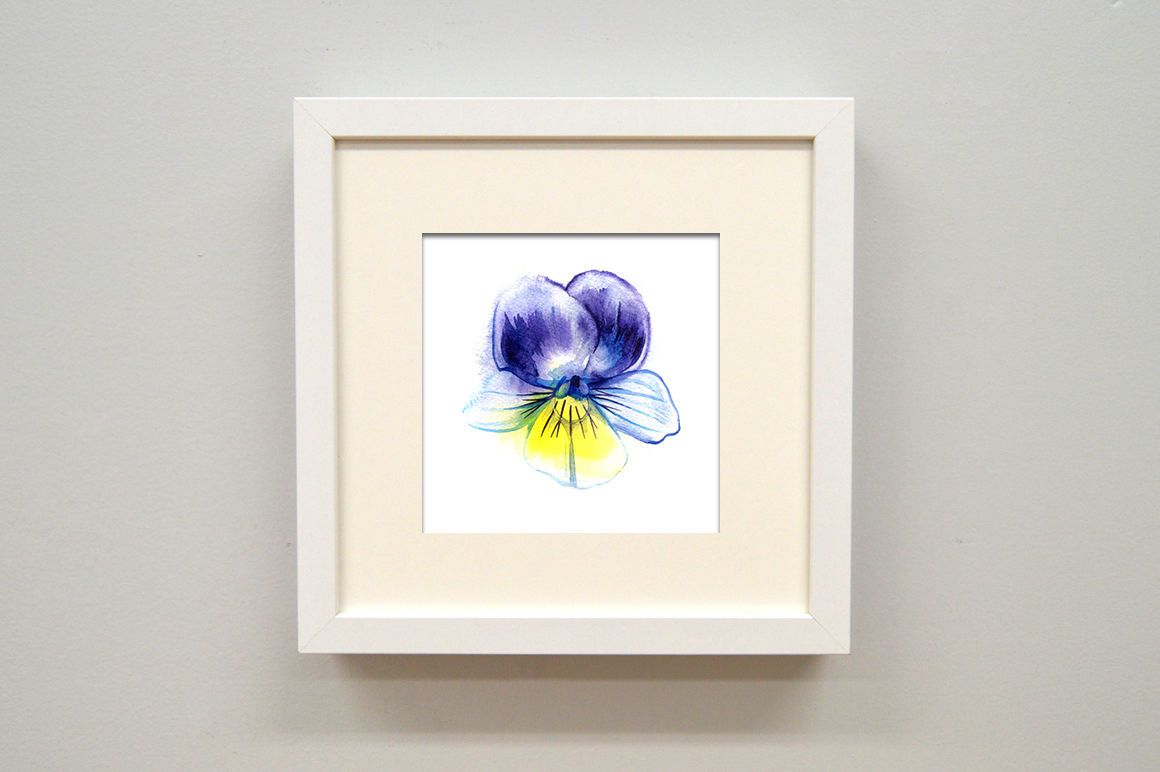 Watercolor pansy illustrations By aquarelloaquarelle | TheHungryJPEG