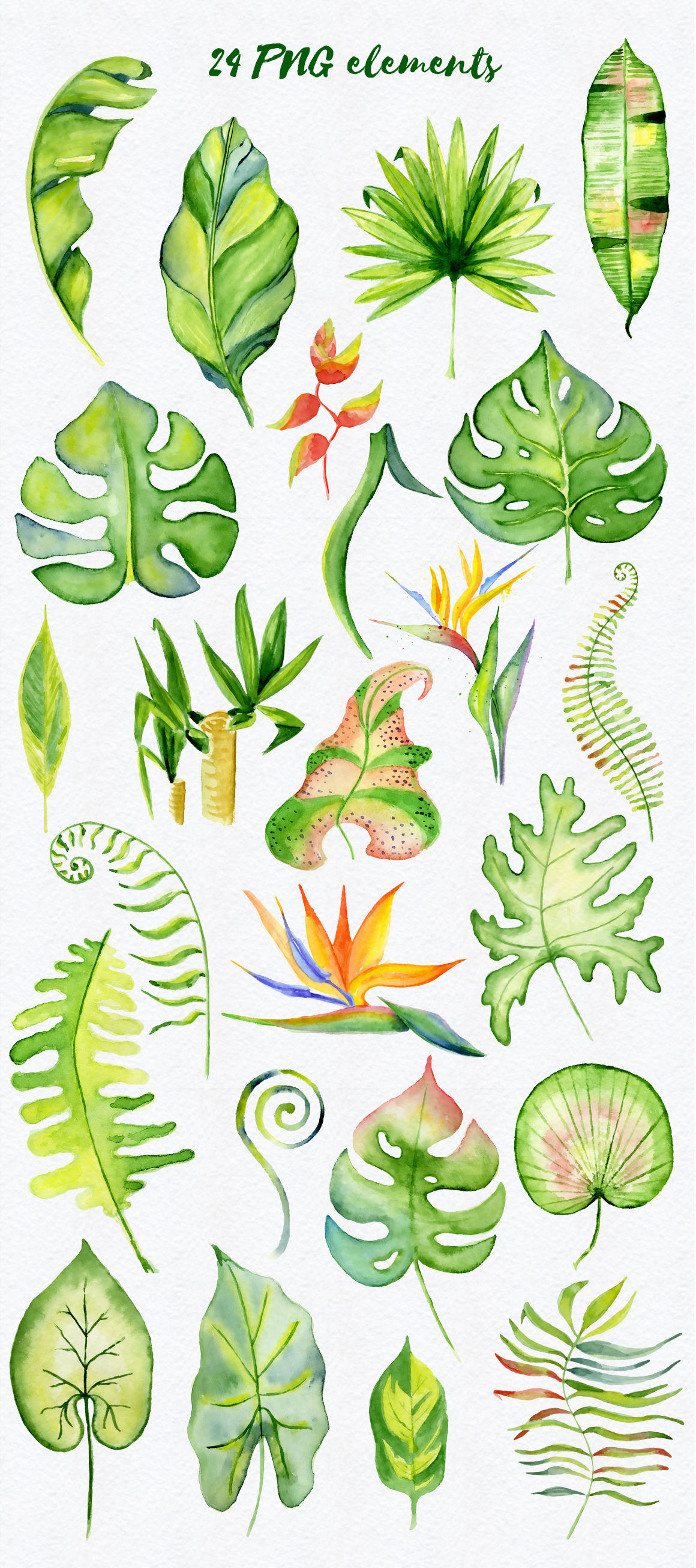 Tropical leaves watercolor jungle clipart By EvgeniiasArt ...