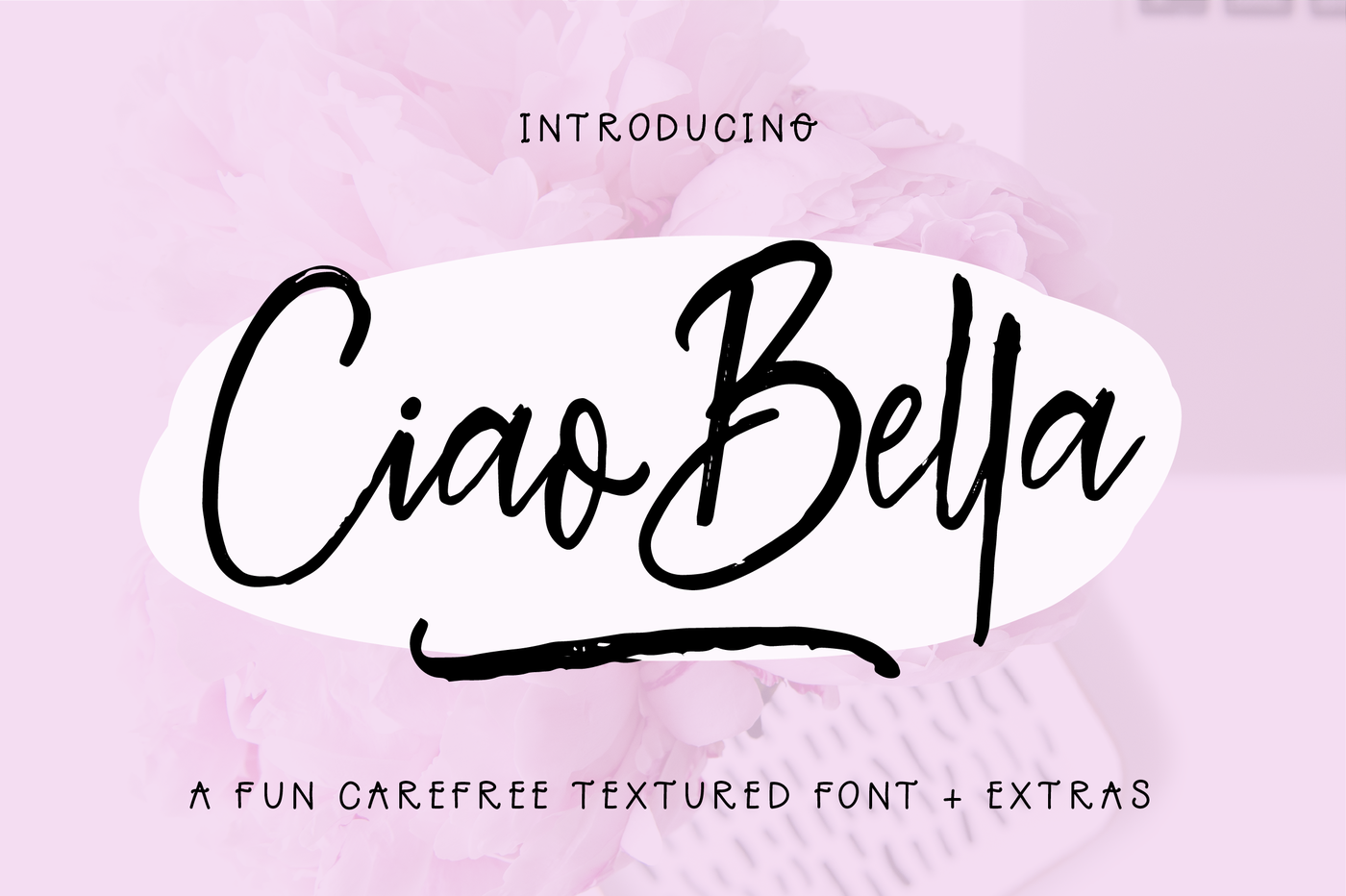 Ciao Bella Font Extras By The Ink Affair Thehungryjpeg Com