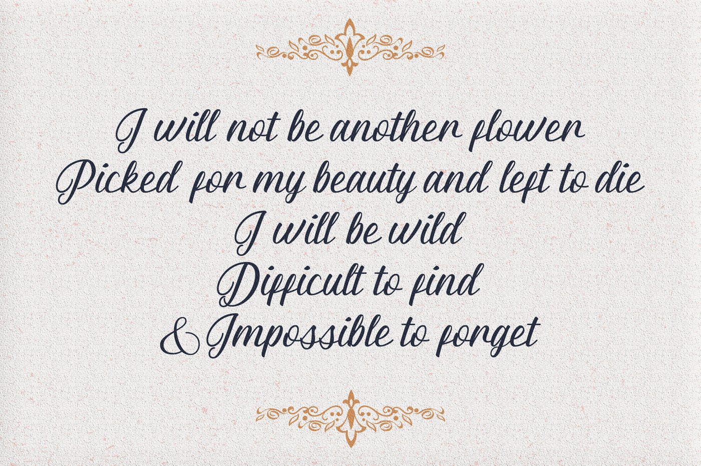 Almyra Script By Alphabeta