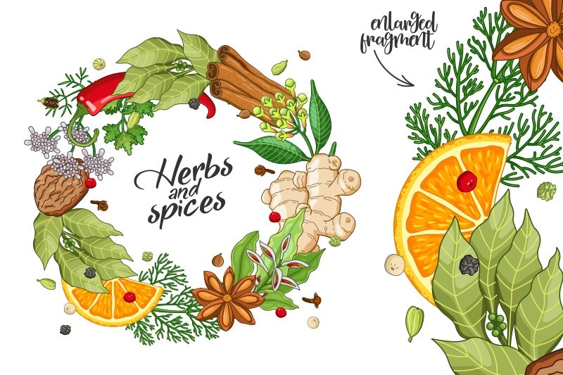 Spices and herbs labels set By Katerina Ivanova