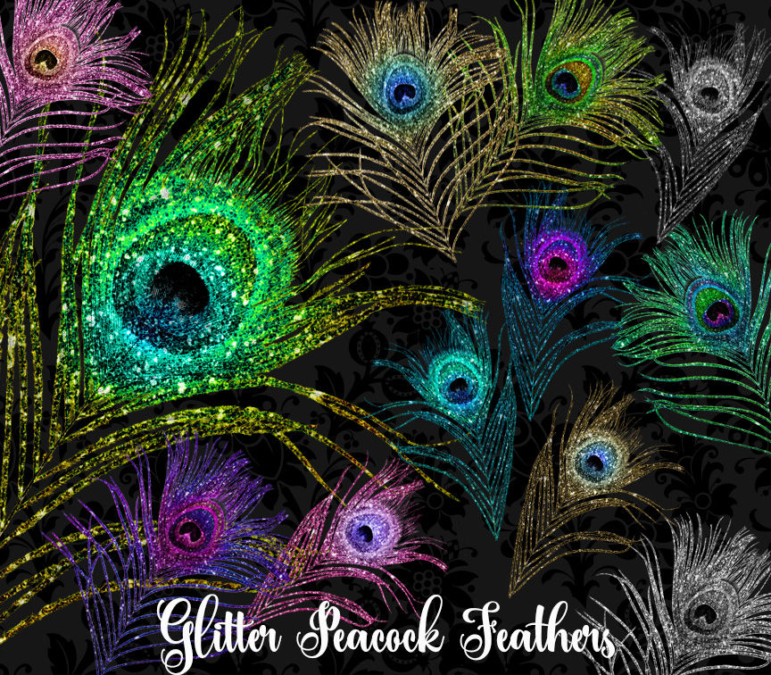 Glitter Peacock Feather Clipart By Digital Curio | TheHungryJPEG