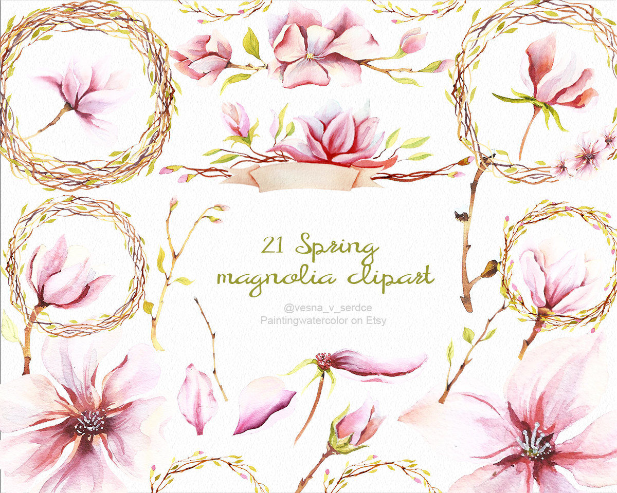 Magnolia Spring clipart Summer clipart pink flower ...