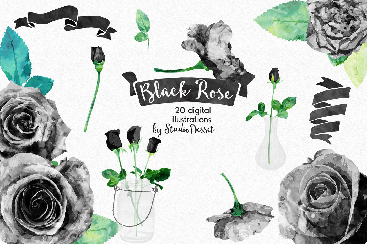 Black Rose Watercolor Illustrations By Studiodesset Thehungryjpeg Com
