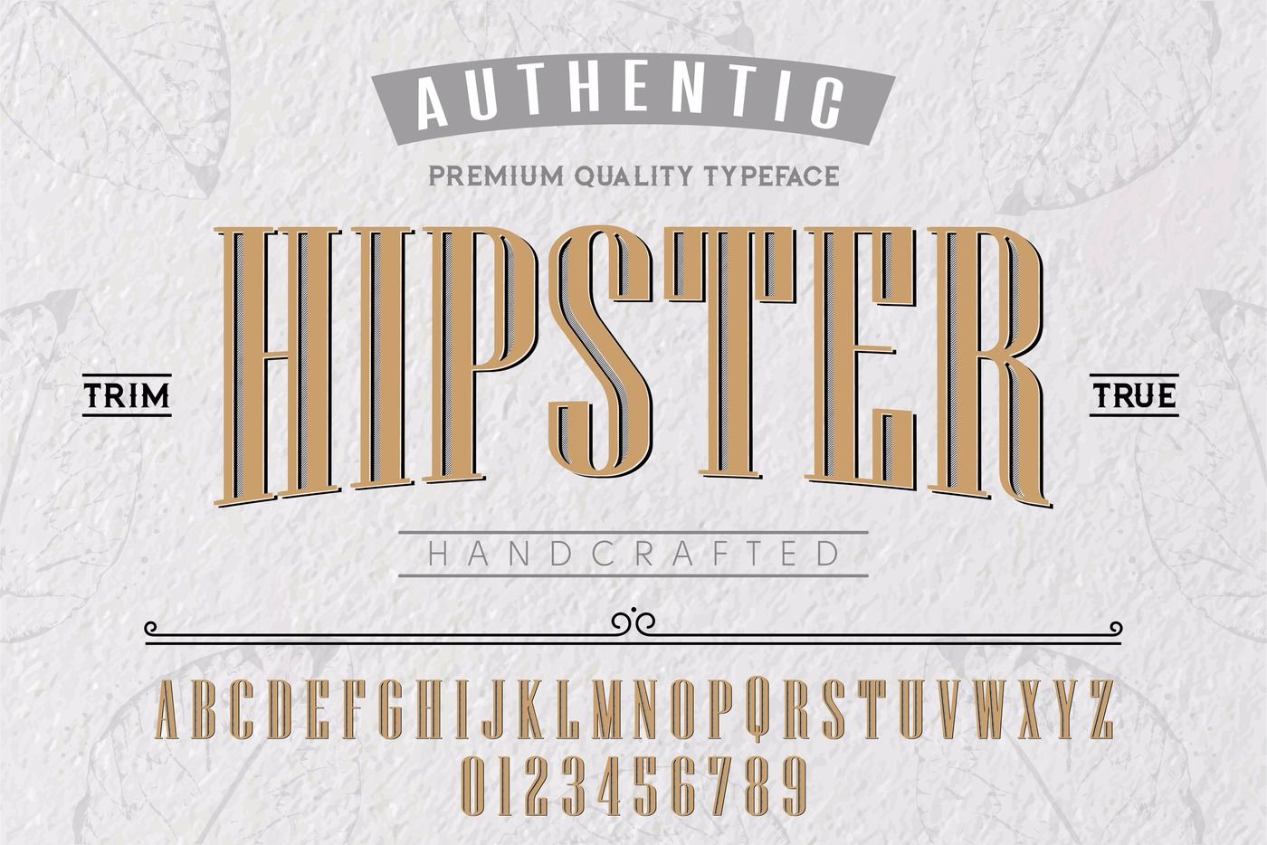 Font Alphabet Script Typeface Label Hipster Typeface For Labels And Different Type Designs By Dot Thehungryjpeg Com