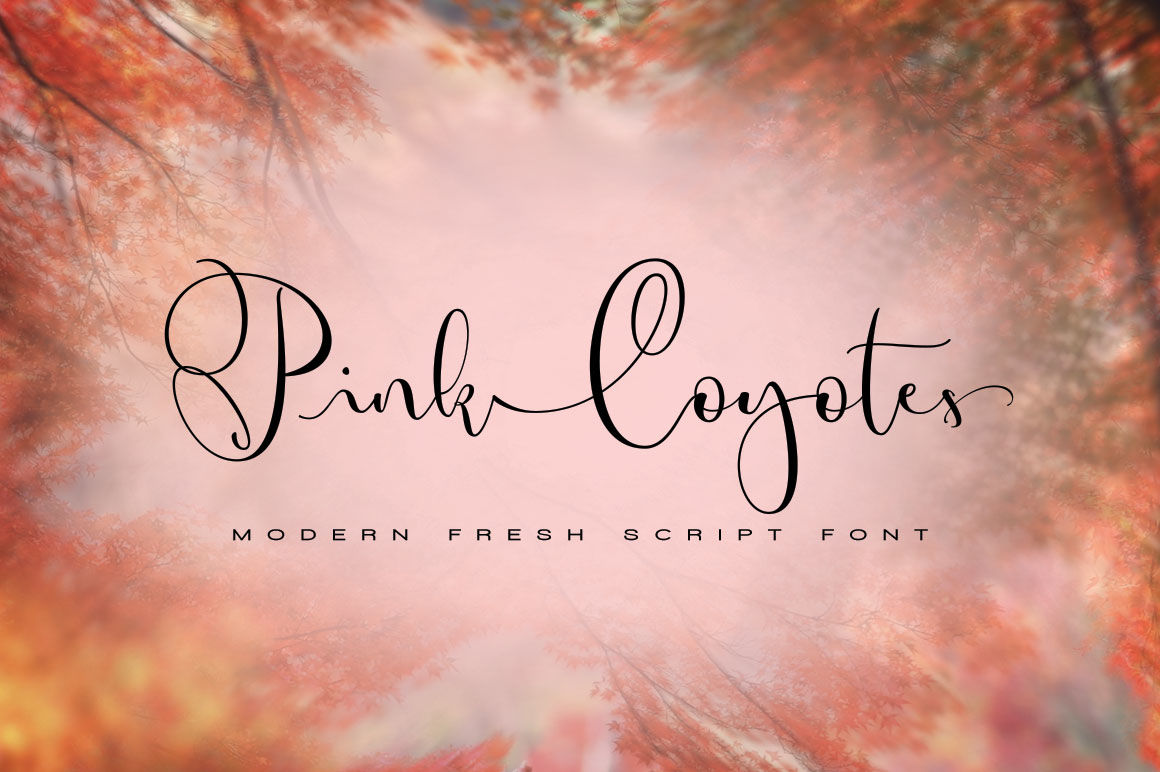Pink Coyotes Script By Individuel Thehungryjpeg Com
