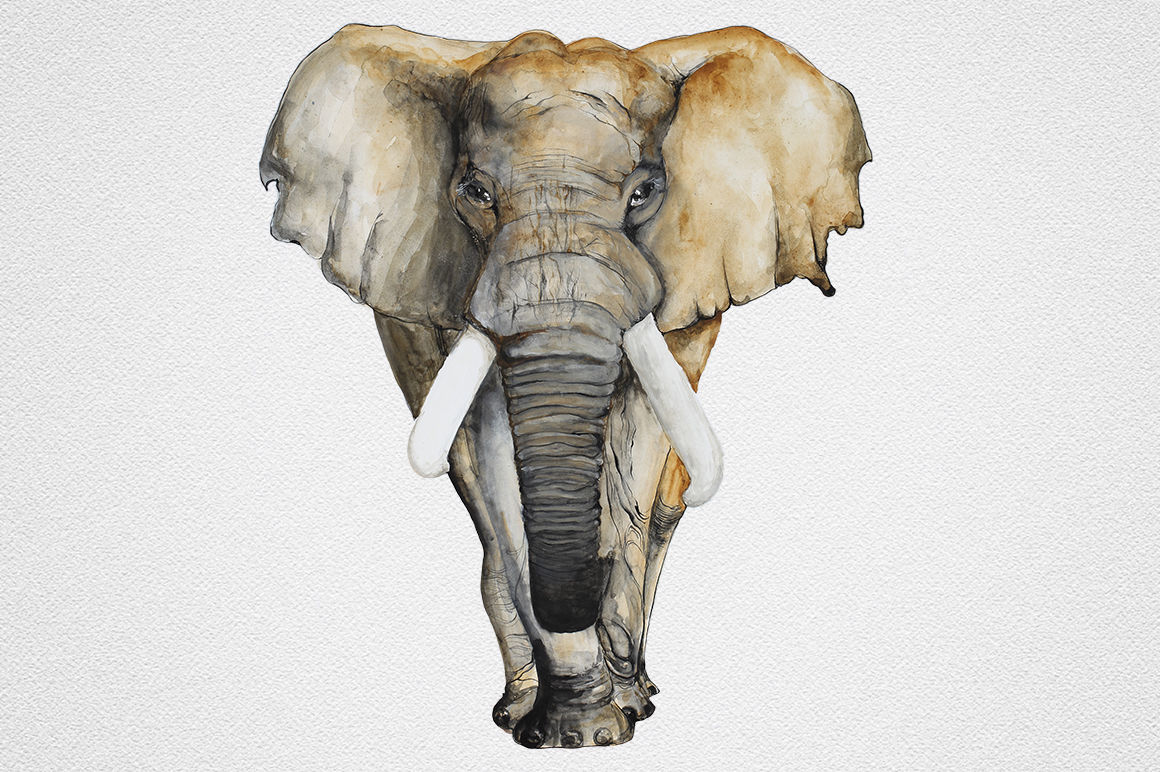 Watercolor Elephant By Ivan Feoktistov | TheHungryJPEG