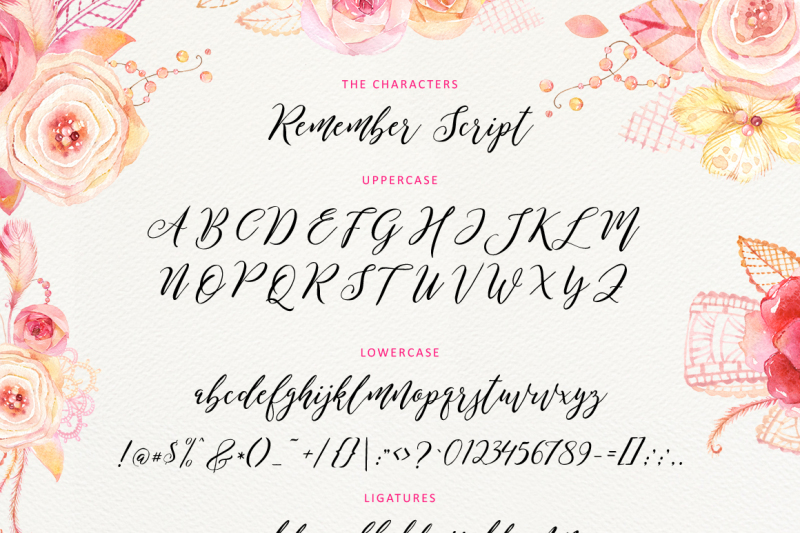 The Script Fonts Bundle By TheHungryJPEG | TheHungryJPEG.com