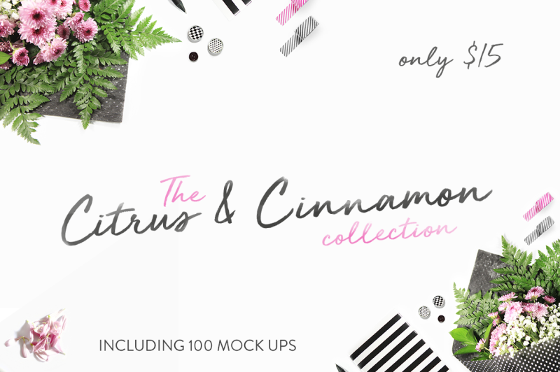 The Citrus & Cinnamon Collection By TheHungryJPEG TheHungryJPEG