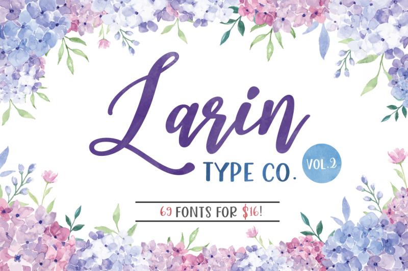 Larin Type Co Vol 2 By Thehungryjpeg Thehungryjpeg Com