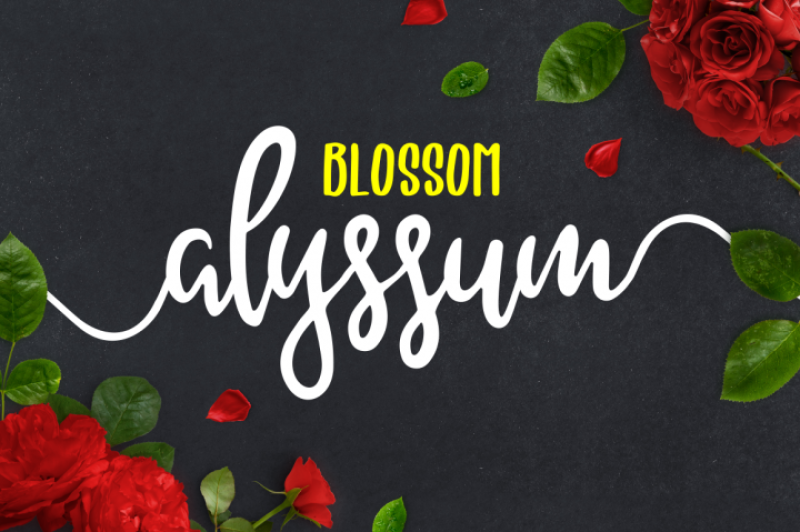 Free Alyssum Blossom Font Duo By Thehungryjpeg Thehungryjpeg Com