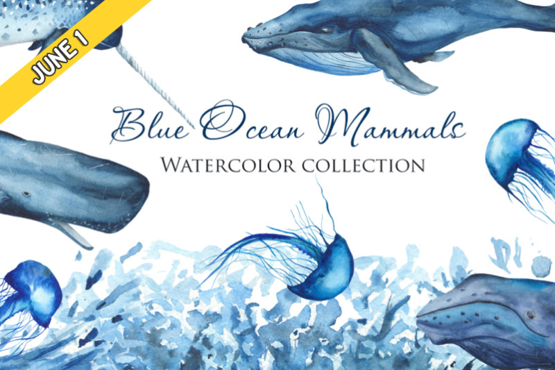 Free Blue Ocean Mammals By Thehungryjpeg Thehungryjpeg Com
