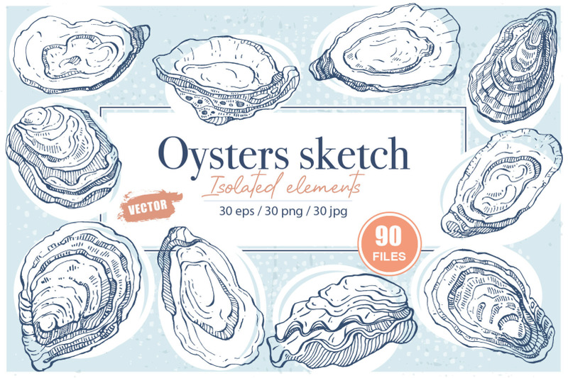 oyster sketch