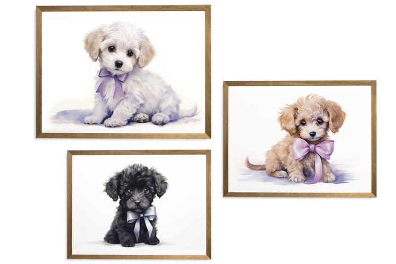 poodle puppy clipart