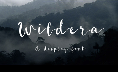 FREE Wildera Font