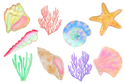 FREE Fancy Seashell Elements