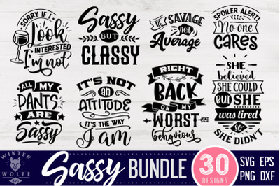 FREE Sassy Bundle 30 designs SVG EPS DXF PNG