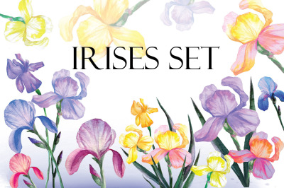 Irises Set