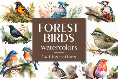 FREE Forest Birds Watercolors
