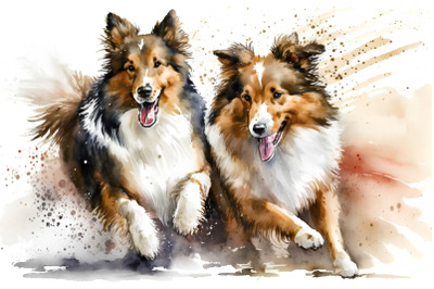 FREE Rough Collie Watercolor