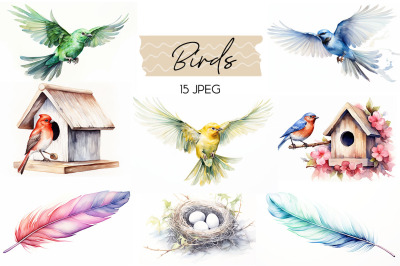 FREE birds Watercolour Collection
