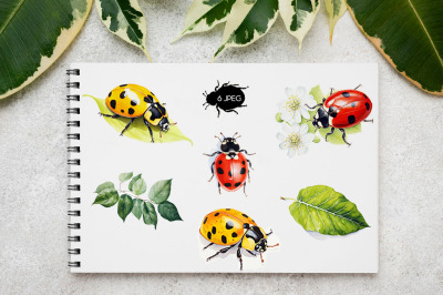 FREE Ladybugs