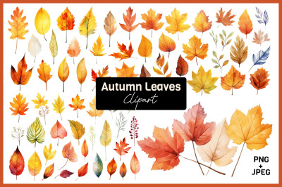 FREE Autumn Leaves