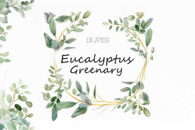 FREE Eucalyptus Greenary