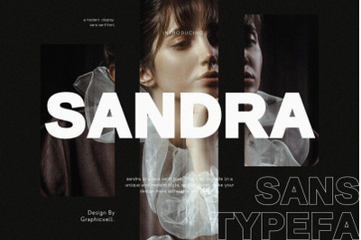 Sandra Modern Serif Font