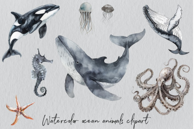 FREE Watercolor Ocean Animals Clipart