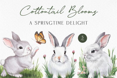 FREE Cottontail Blooms Illustration