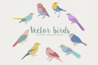 Vector Birds