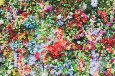 Floral Wonderland